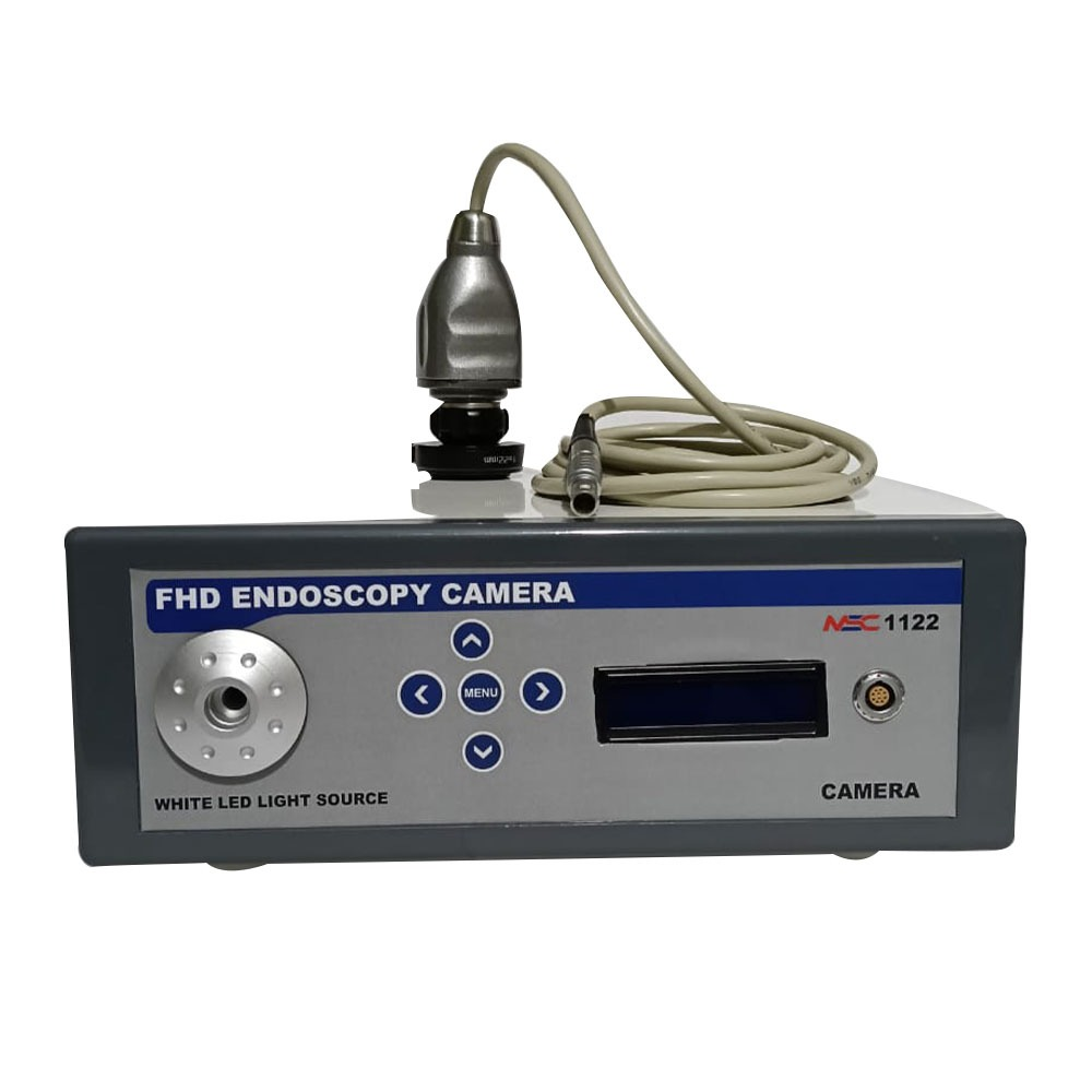 Endoscope